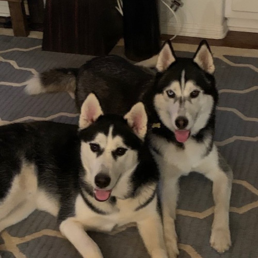 Meet your Posher, Marc